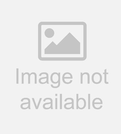 No image available
